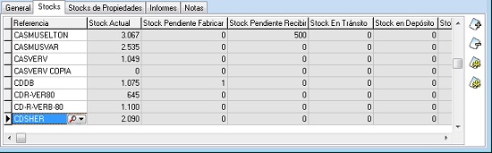 Pestaña Stocks ficha de almacenes