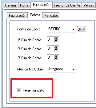 Casilla 'Tiene mandato'